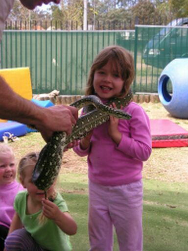 Celine and the diamond python